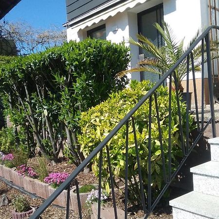 Apartment Am Kaffelstein - Mit Terrasse Kreuzwertheim エクステリア 写真