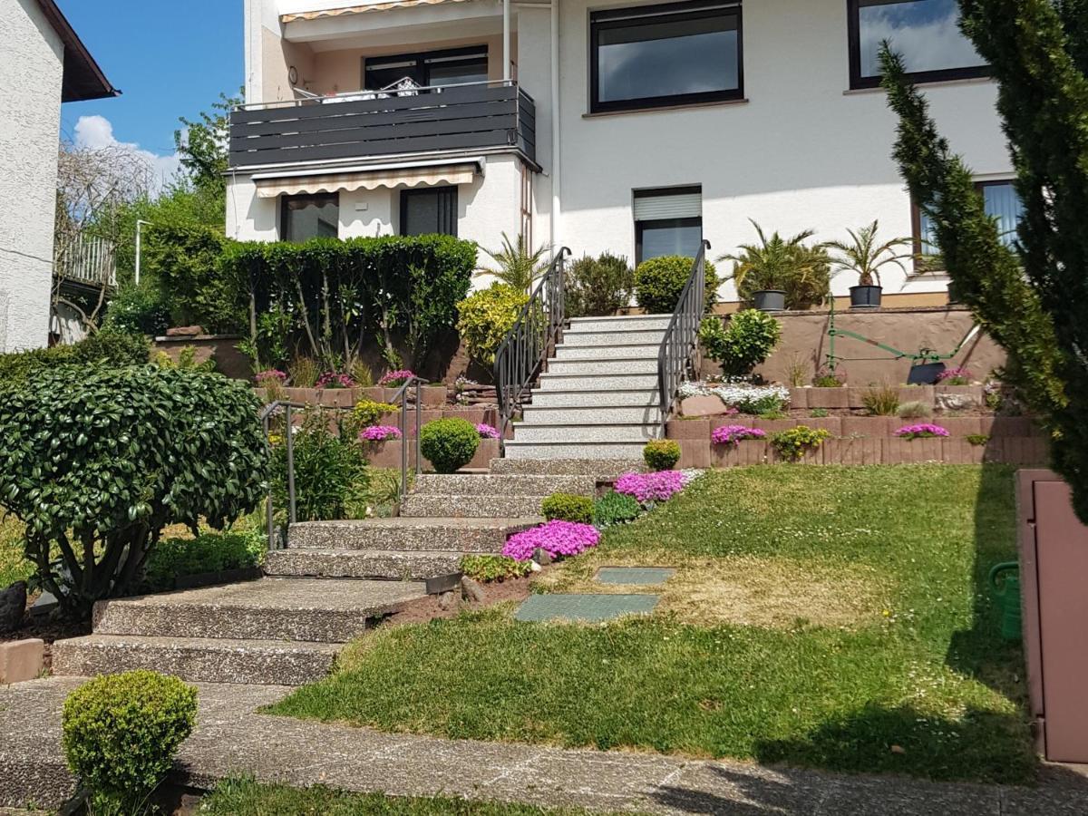 Apartment Am Kaffelstein - Mit Terrasse Kreuzwertheim エクステリア 写真